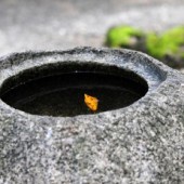 Vẻ đẹp vô thường trong kiến trúc Nhật Bản 